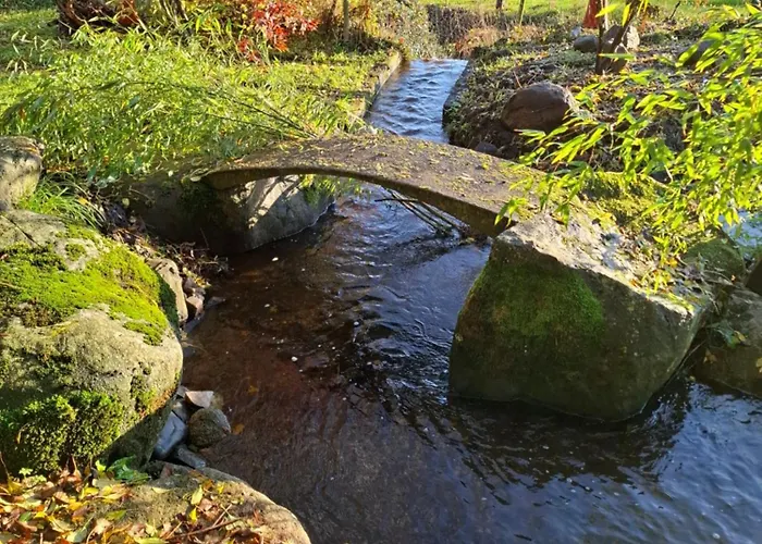 The Swallow's Return Logcabin, Carlingford, A91d954 *